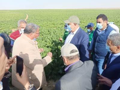وزير الزراعة يوجه رسالة للمستثمرين .. إليك التفاصيل