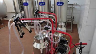 فرص عمل في مزرعة ومصنع ميلكيز للألبان