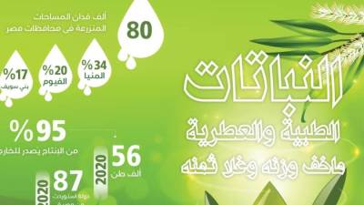 النباتات الطبية والعطرية.. ما خف وزنه وغلا ثمنه (إنفوجراف)