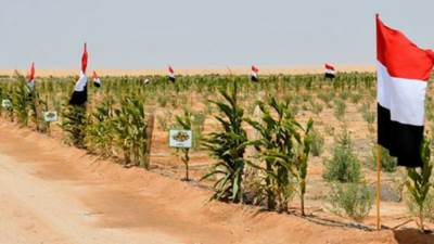 «شركاء التنمية».. 3 صناديق عربية تساهم في تغيير وجه سيناء