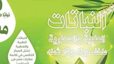 النباتات الطبية والعطرية.. ما خف وزنه وغلا ثمنه 2 (إنفوجراف)