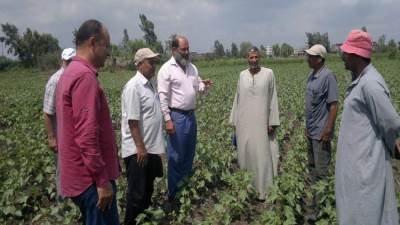  20 عاماً والفلاح بدون توجيه.. من السبب فى اختفاء المرشد الزراعي؟