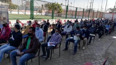 تعيين 344 شابًا بـ«كعب العمل» في بني سويف