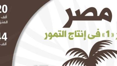 مصر نمبر «1» في إنتاج التمور..(إنفوجراف)