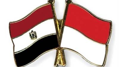 تعرف على حجم استثمارات إندونيسيا في مصر