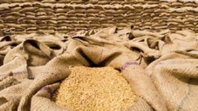 إيقاف استلام توريد القمح المحلى اليوم بمناسبة أعياد الأقباط