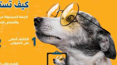 كيف تستخرج رخصة كلب؟..(إنفوجراف)