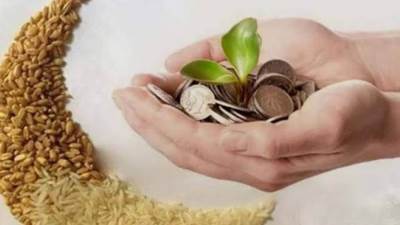 15 جنيهًا.. ما هو الحد الأدنى لزكاة الفطر وهل يجوز إخراجها نقدًا؟