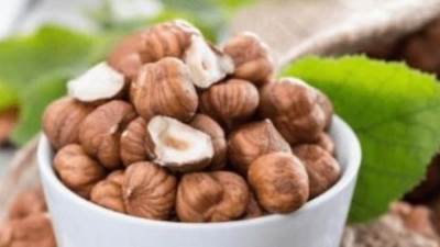 لعشاق البندق .. مصر تستورده من ٣ دول