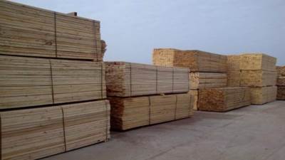 ٢٠٪ زيادة.. جنون في أسعار الأخشاب 