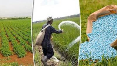 حقيقة وقف صرف الأسمدة الصيفية للمزارعين لحين استلام كارت الفلاح