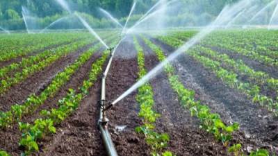   ١١ فائدة يجنيها الفلاح من التحول لنظم الري الحديث..تعرف عليها