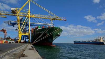 حقيقة تلوث ميناء الإسكندرية نتيجة تسرب بقع زيتية من السفن الضخمة