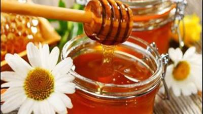 عسل النحل في مصر.. علاج واستثمار