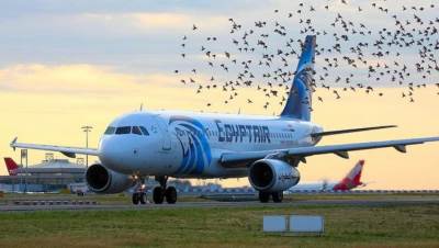 غدا.. مصر للطيران تسير 41 رحلة دولية إلى 28 مدينة حول العالم