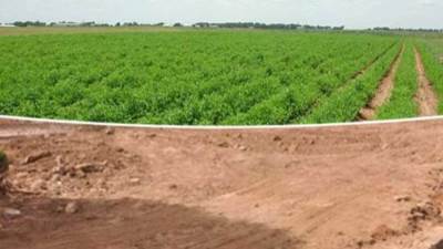 "استرداد أراضى الدولة" تسلم 30 ألف عقد تقنين للمواطنين