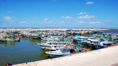 رئيس "الثروة السمكية" يوجه نداءً لصغار الصيادين