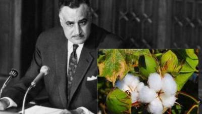 بعد النكسة مباشرة.. لماذا ناقش عبد الناصر أوضاع «دودة القطن وتقاوي البصل»؟