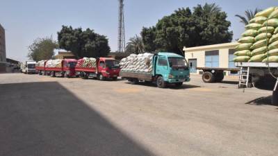 توريد 148 ألف طن قمح وحصاد 233 ألف فدان بأسيوط