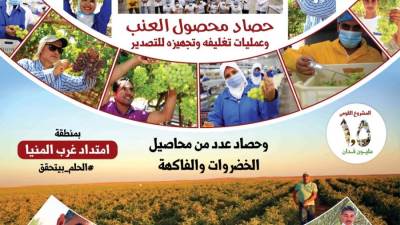 حسن علام تتفق مع الريف المصري لإنشاء محطات الطاقة