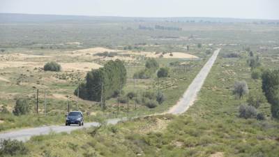 هكذا تحولت سابع أكبر صحراء في الصين لواحة خضراء "فيديو"
