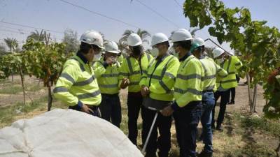 تفاصيل زيارة محافظ أسيوط ورئيس «سيمكس» لمزرعة الشركة والمدينة الرياضية