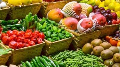 أبرزها الموالح والبطاطس.. الزراعة تكشف حجم الصادرات منذ يناير٢٠٢١
