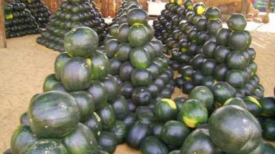 البطيخ المصري يغزو أسواق 65 دولة