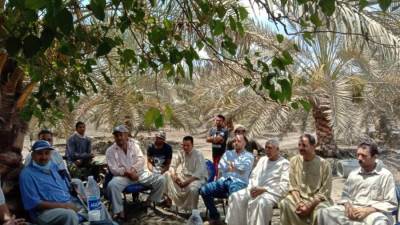 الزراعة تنظم مدرسة حقلية للنخيل بمركز فاقوس