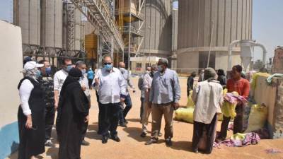  توريد 152 ألف طن قمح بأسوط حتى الآن