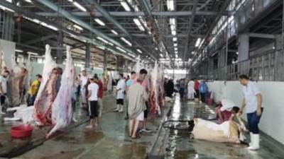 «تفتح بالمجان».. ننشر قائمة بأماكن 23 مجزرًا بالجيزة طوال أيام عيد الأضحى