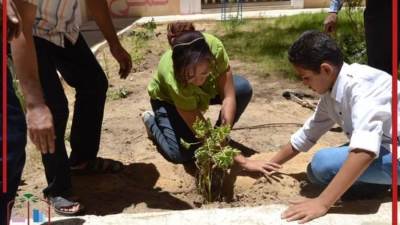 جهاز «أسيوط الجديدة» يطلق المرحلة الثانية من  مبادرة «بأيدينا نخضرها»