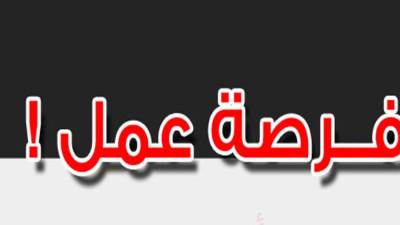 1269 فرصة عمل جديدة للشباب .. تفاصيل الأوراق المطلوبة