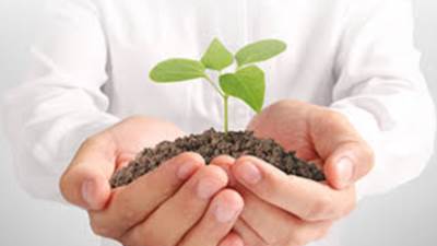 حقيقة إهدار أموال الأوقاف لتنفيذ مشروعات لا جدوى منها