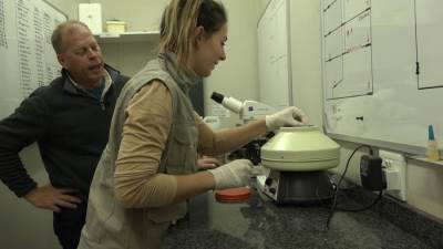 كواليس نجاح مشروع «ريسوتوب» الابتكاري لمكافحة الصيد الجائر لحيوان وحيد القرن