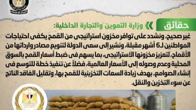 حقيقة وجود أزمة في توفير القمح بمختلف محافظات الجمهورية