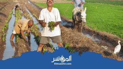 وزيرة التضامن تؤكد: قريبًا تخصيص معاشات لـ5 مليون مزارع