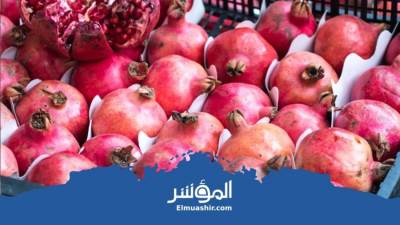 الرمان المصري يعود للأسواق الصينية