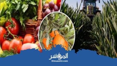  ارتفاع صادرات مصر الزراعية إلى أكثر من 5.3 مليون طن