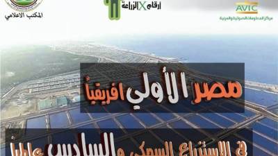 «أرقام X الزراعة».. أهم الأرقام في إنتاج مصر السمكي
