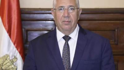 وزير الزراعة: مشروع الصوامع الذي أطلقه الرئيس ضاعف الطاقة الاستيعابية لتخزين القمح