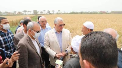 وزير الزراعة ومحافظ القليوبية يتفقدان حقول القمح بالمحافظة