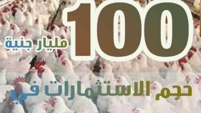 "أرقام X الزراعة”.. تستعرض أهم الأرقام حول صناعة الدواجن في مصر