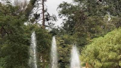 حدائق الري بالقناطر الخيرية تستعد لاستقبال الزوار للاحتفال بعيد الفطر 