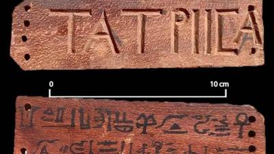 الأعلى للآثار: الكشف عن ٨٥ مقبرة من العصر البطلمي بسوهاج