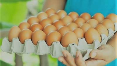 جنون البيض.. سعر الكرتونة يصل ل80 جنيها.. ومطالب بكتابة تاريخ الإنتاج