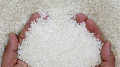 ارتفاعات جديدة في سعر الطن.. الأرز الأبيض يقفز ٥٠٠ جنيها خلال يومين 