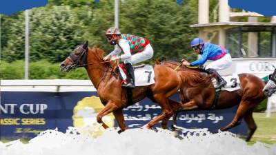 بجائزة 5 ملايين درهم.. غدًا إنطلاق سباق جوهرة تاج الشيخ زايد في أبوظبي