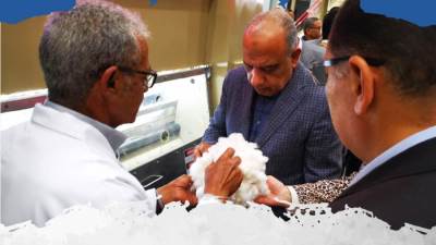 «قطاع الأعمال»: بيع 890 ألف قنطار ضمن منظومة تداول القطن