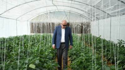 جولة تفقدية لمحافظ قنا لمتابعة مشروعات الأمن الغذائى بمنطقة المعنا